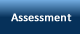 Assessment